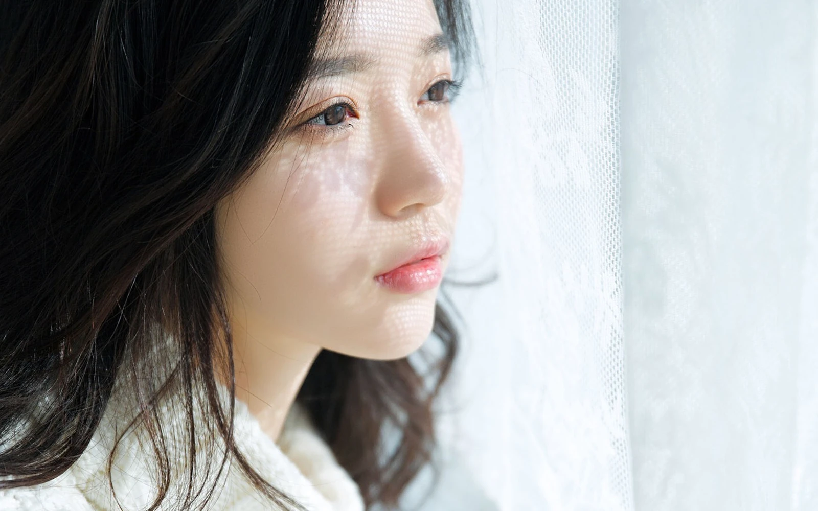 一剪羽毛