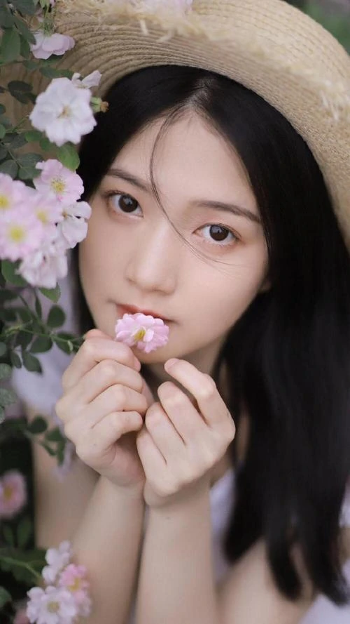 桃花心木_