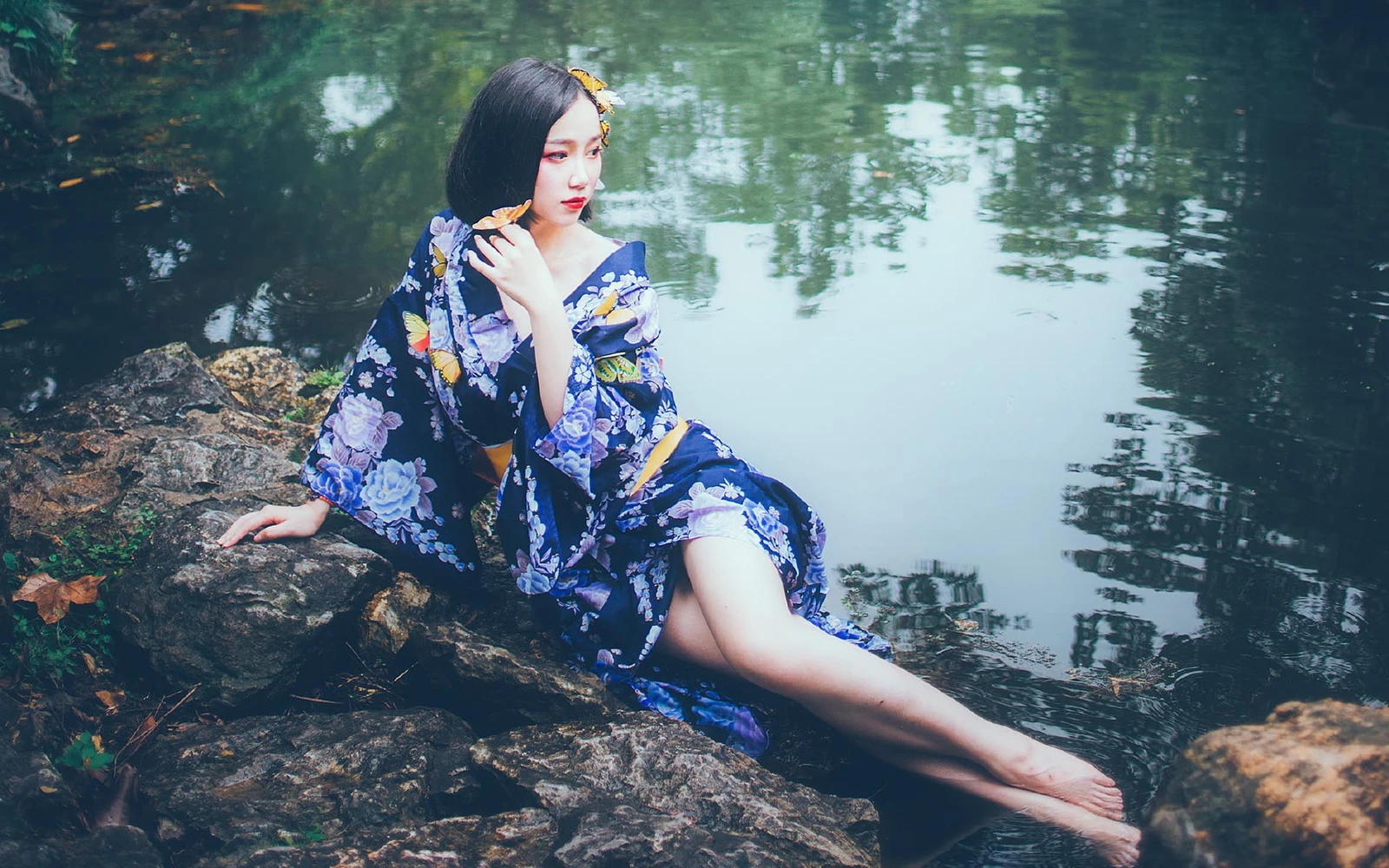 洄歌