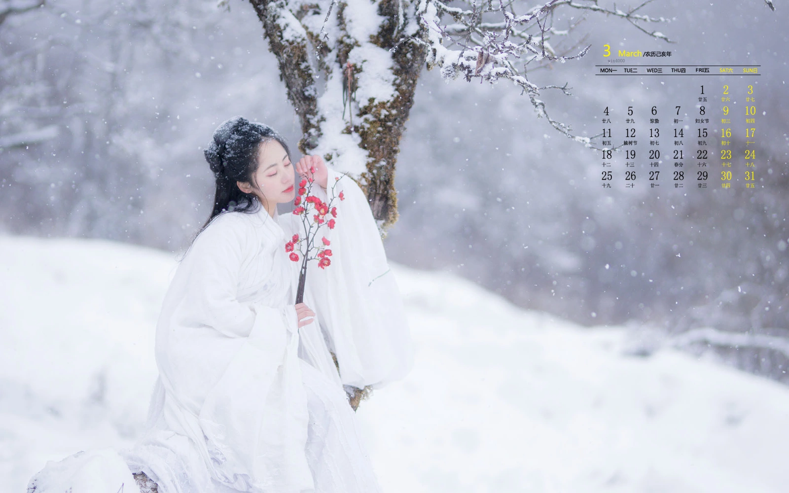 银雪鸭