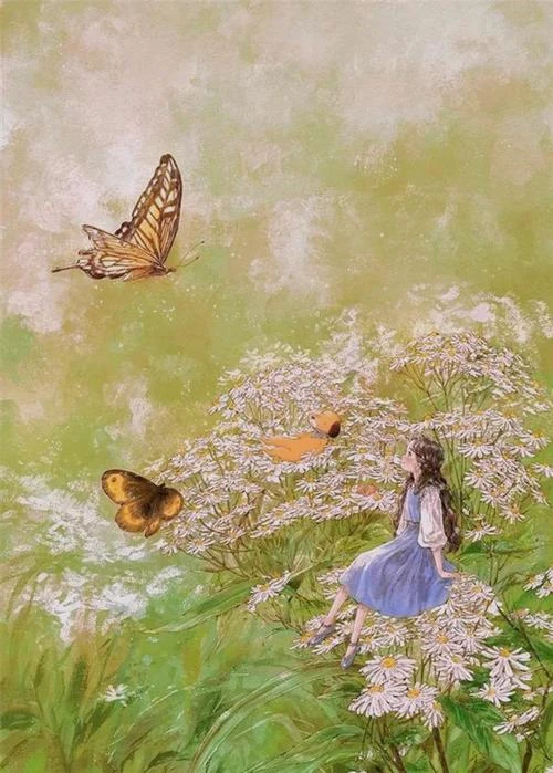 陌陌羽