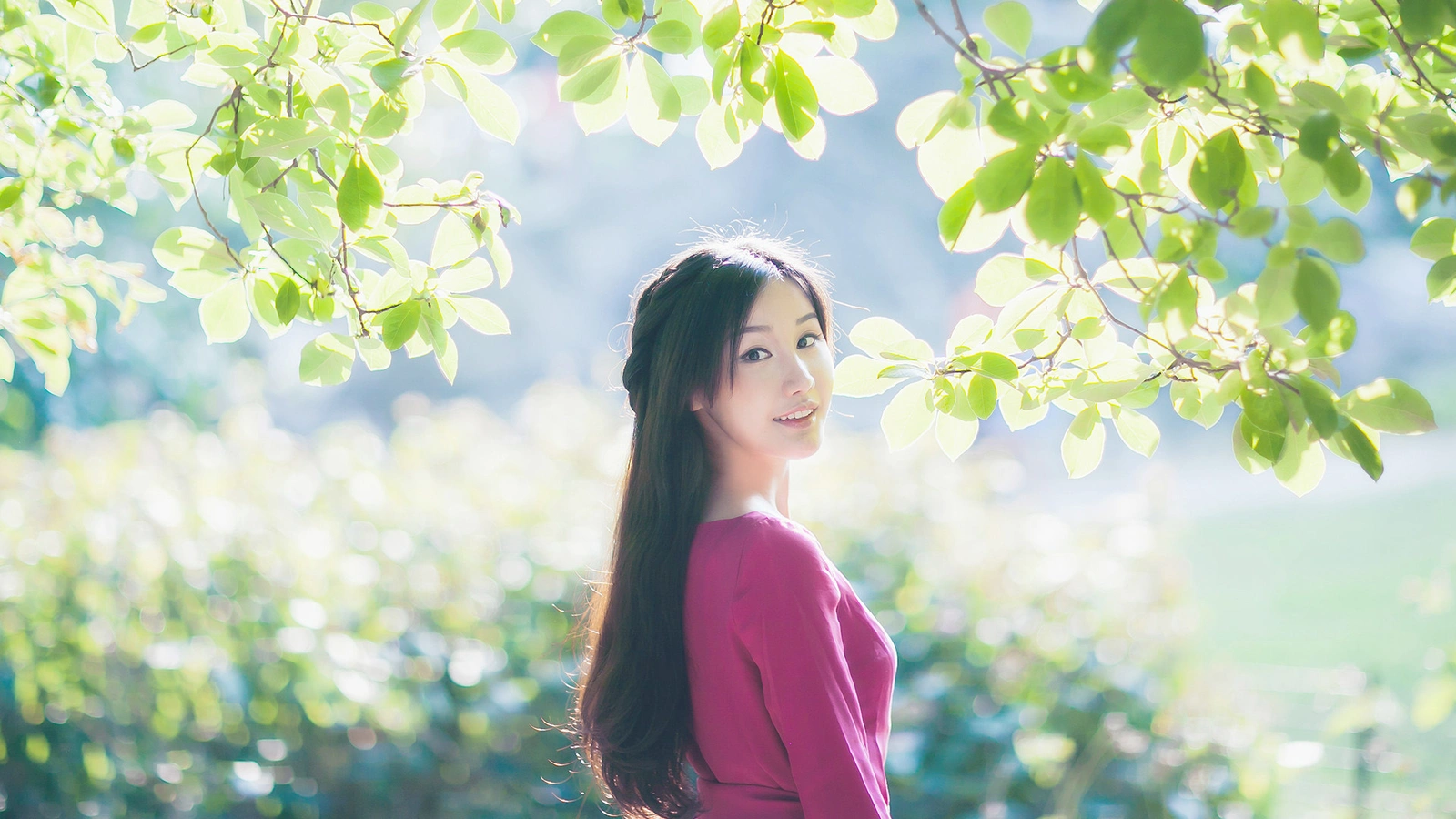 不是胡杨