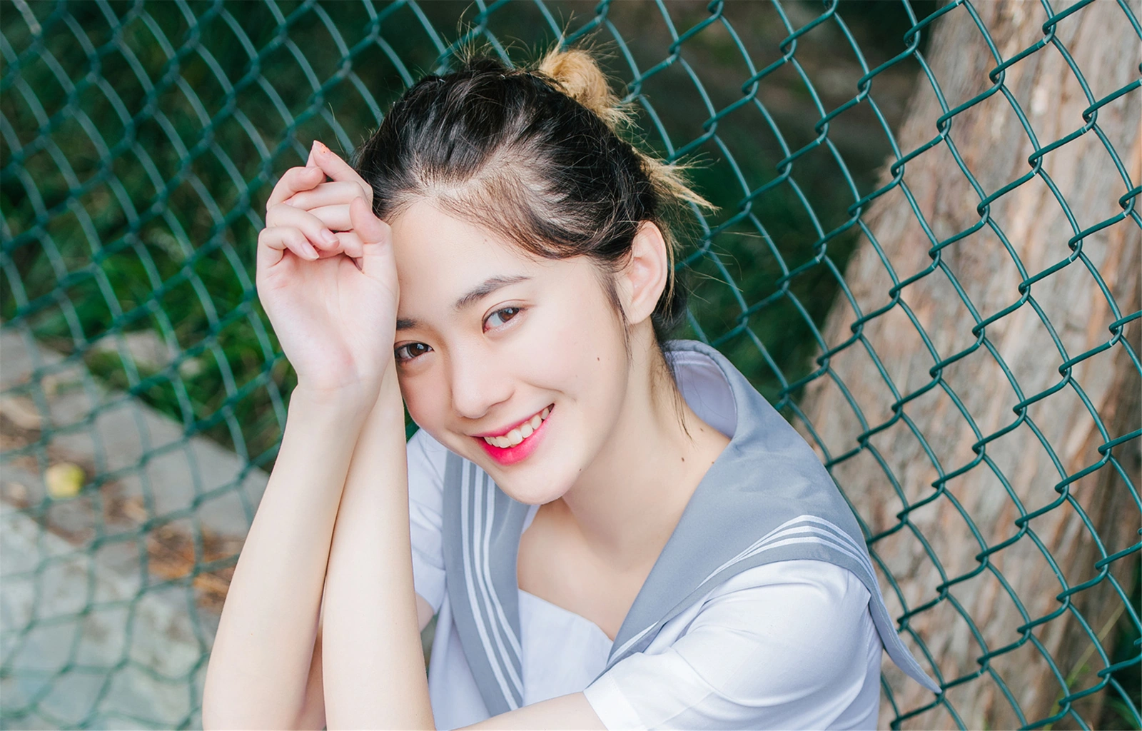 茶己昭
