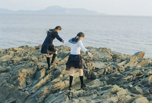 蒲逆