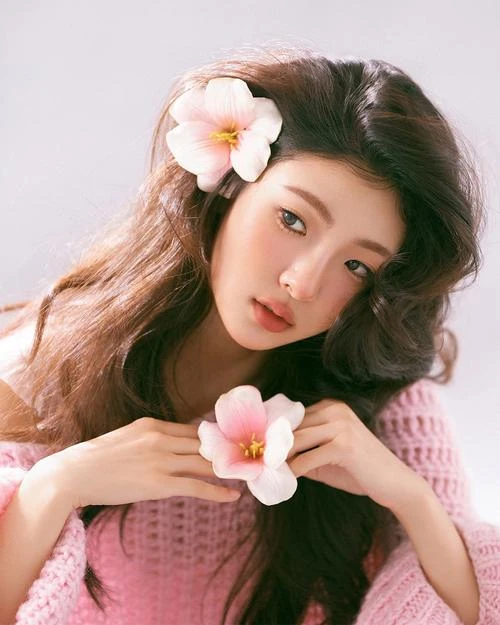 笨跑的南瓜
