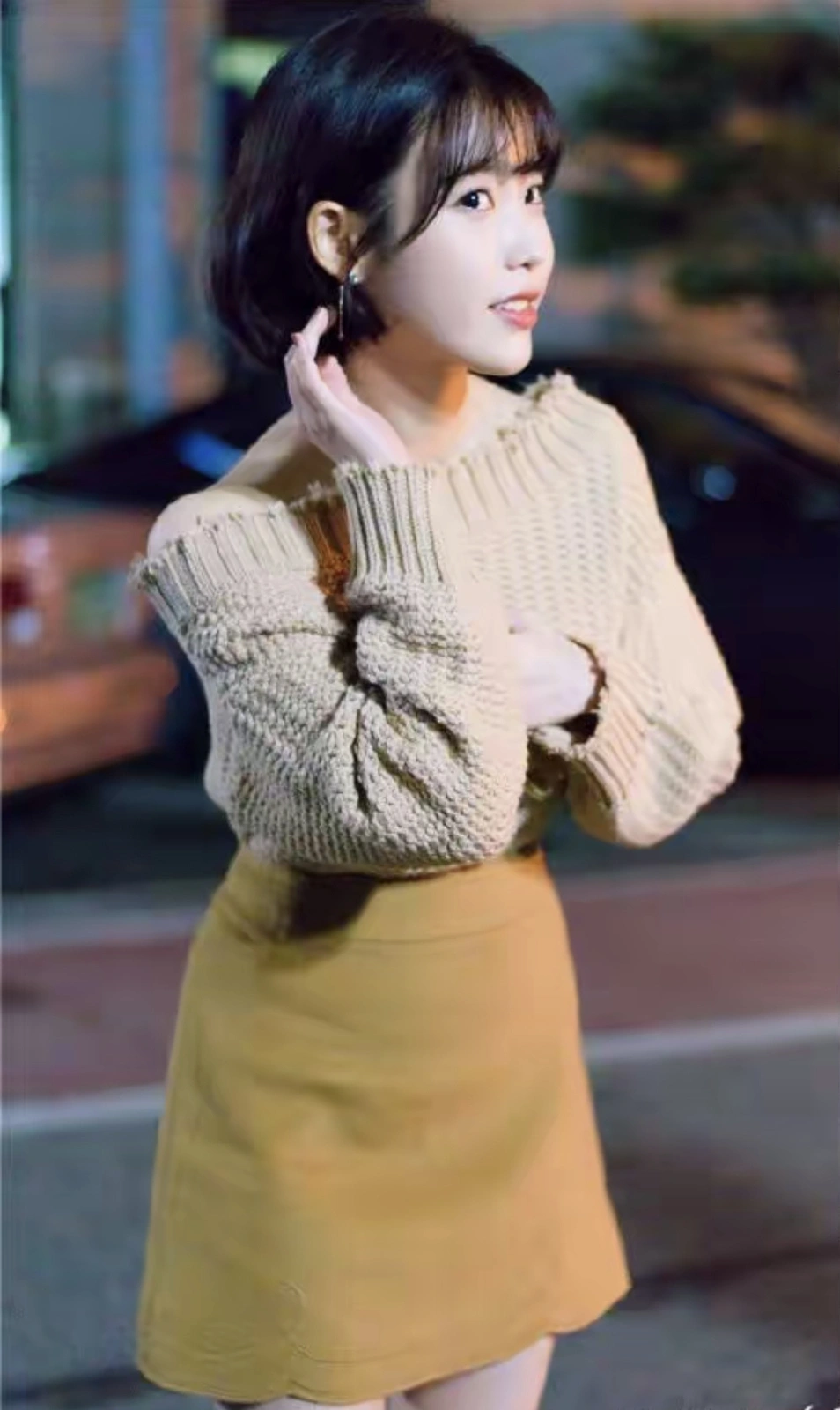 绒球猫