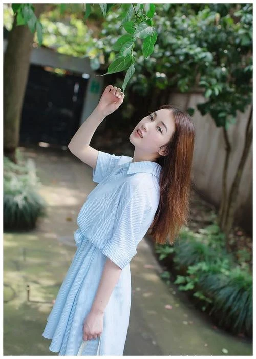 洛觞泪