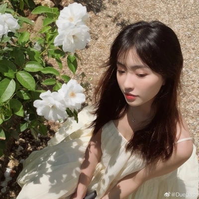 SpaceX IPO四倍超额认购 幕后剧情揭秘