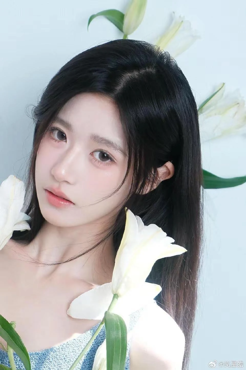 辰南酒疯
