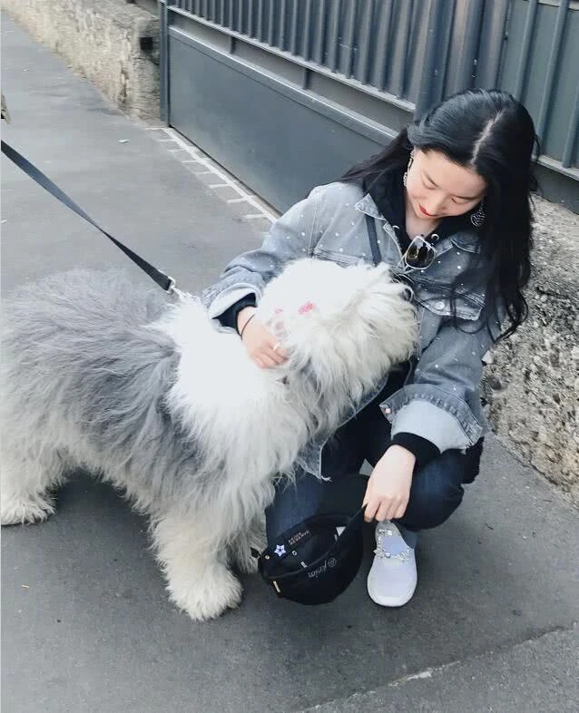 成龙《熊猫计划》海外掀热潮 部落奇遇看点盘点