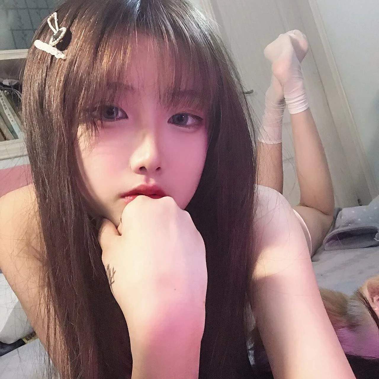星河映愿