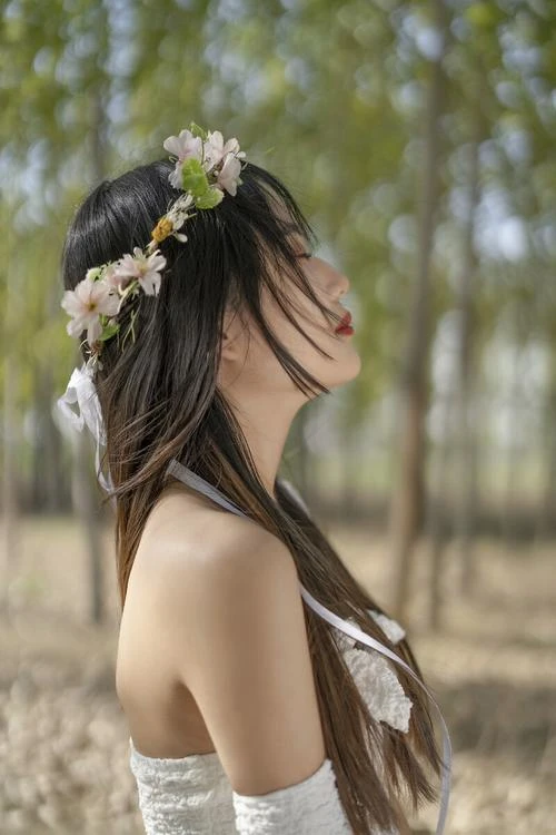 南半裏